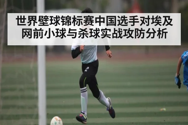 世界壁球锦标赛中国选手对埃及网前小球与杀球实战攻防分析